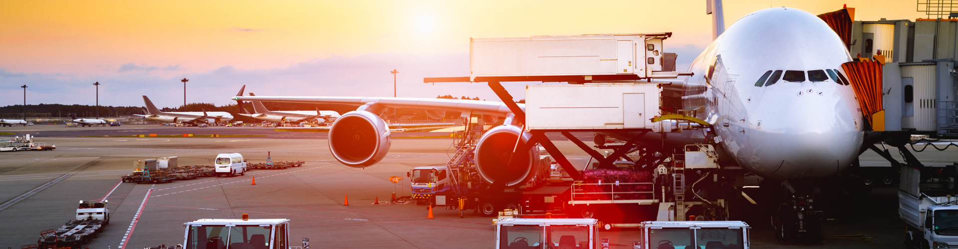 Foreign Trade Consulting and Advisory Company 