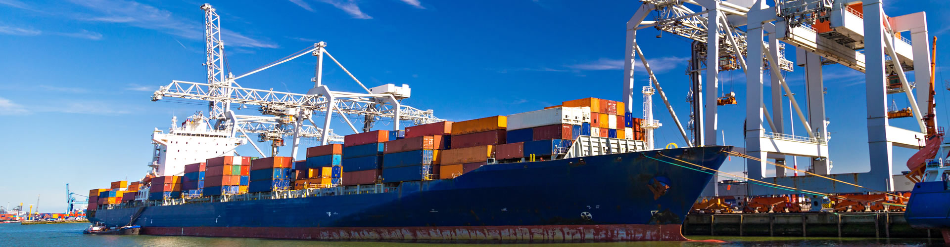 Solutions providers in foreign trade business